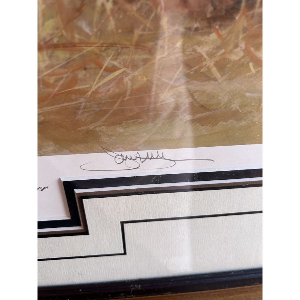 Jim Killen Faithful Friends Puppies Signed 503/1000 Friends NRA Framed Print - Picture 5 of 6